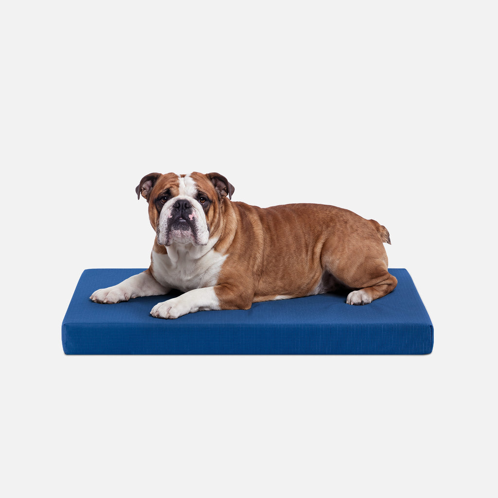 Dog Bed | Orthopedic Foam, Durable Ripstop Cover 25