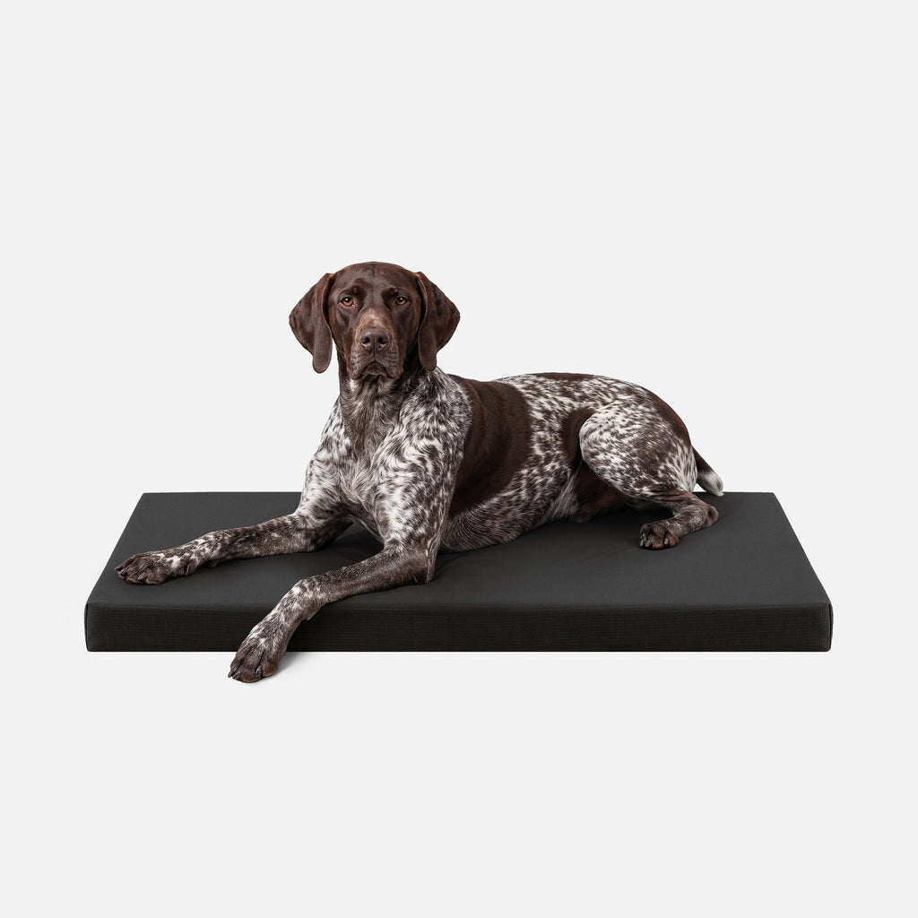 Dog Bed | Orthopedic Foam, Durable Ripstop Cover 26