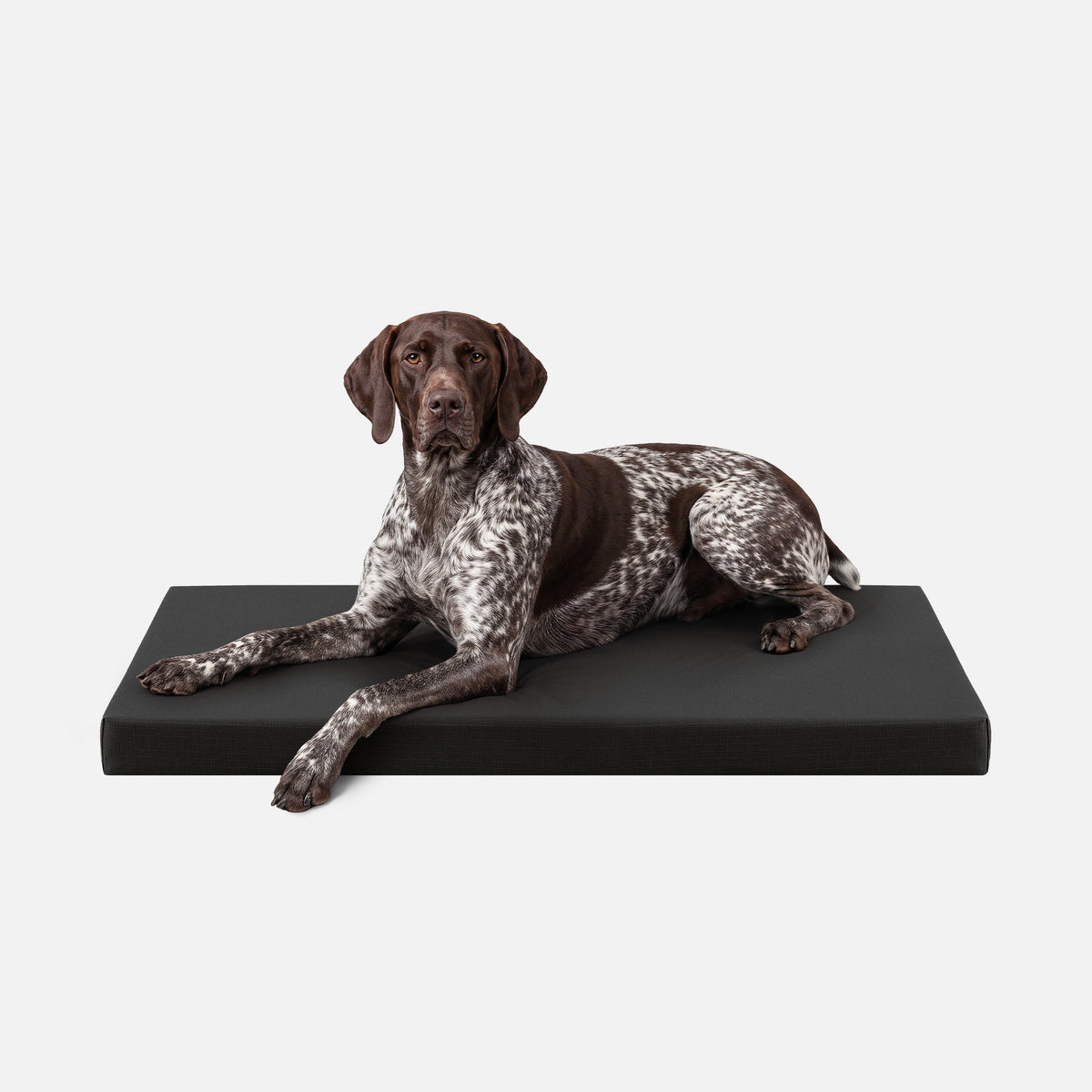 Dog Bed | Orthopedic Foam, Durable Ripstop Cover 26