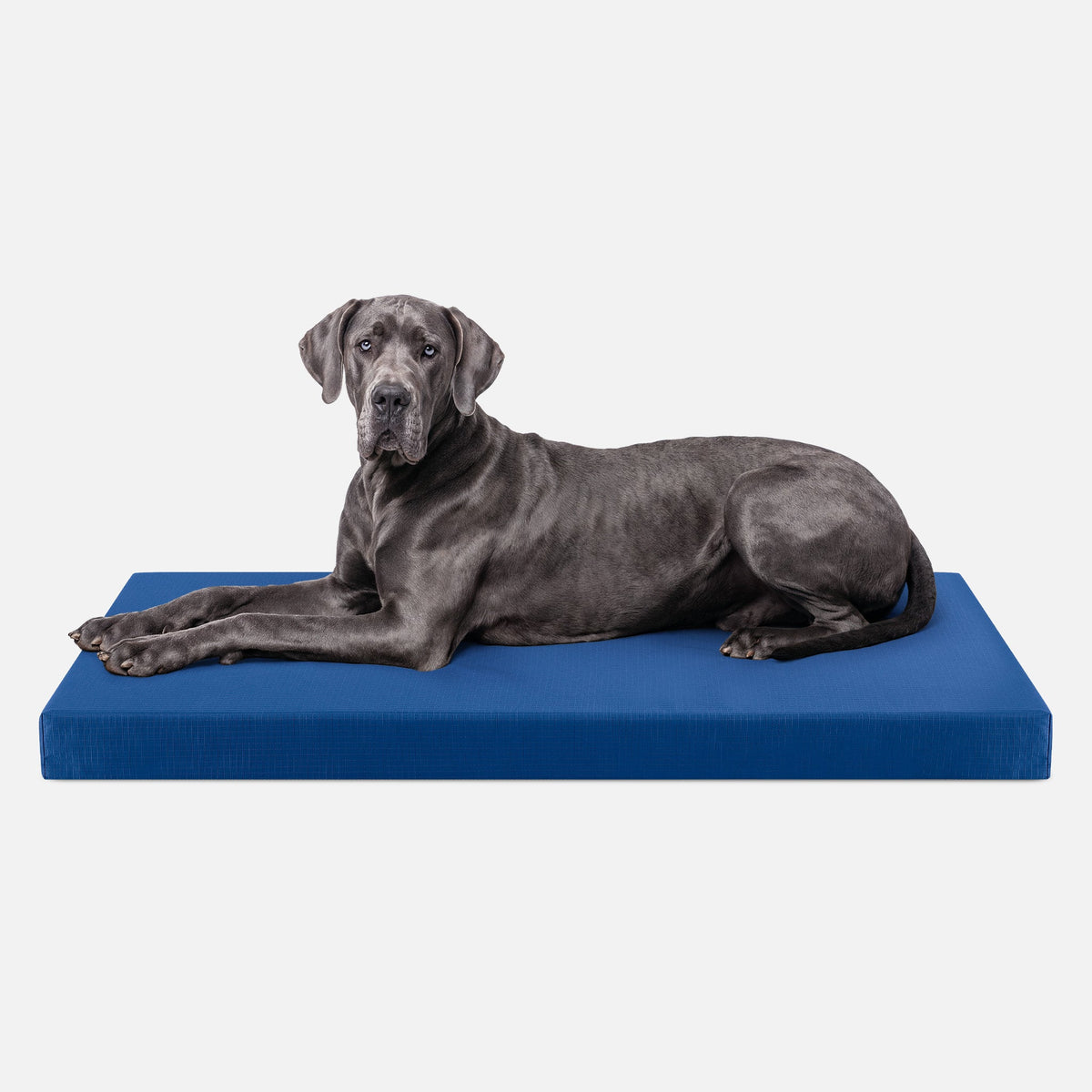 Dog Bed | Orthopedic Foam, Durable Ripstop Cover 27