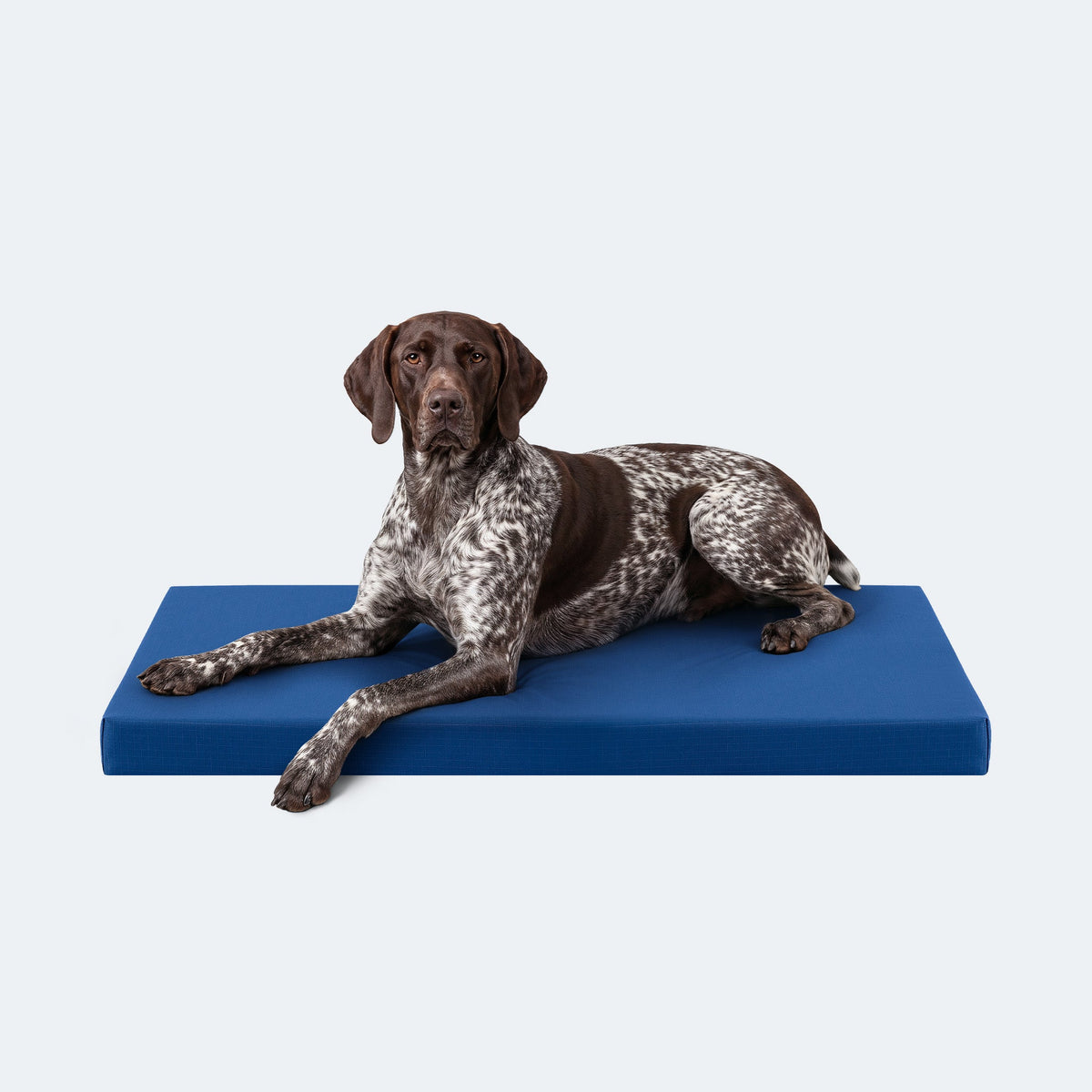 Dog Bed | Orthopedic Foam, Durable Ripstop Cover 28