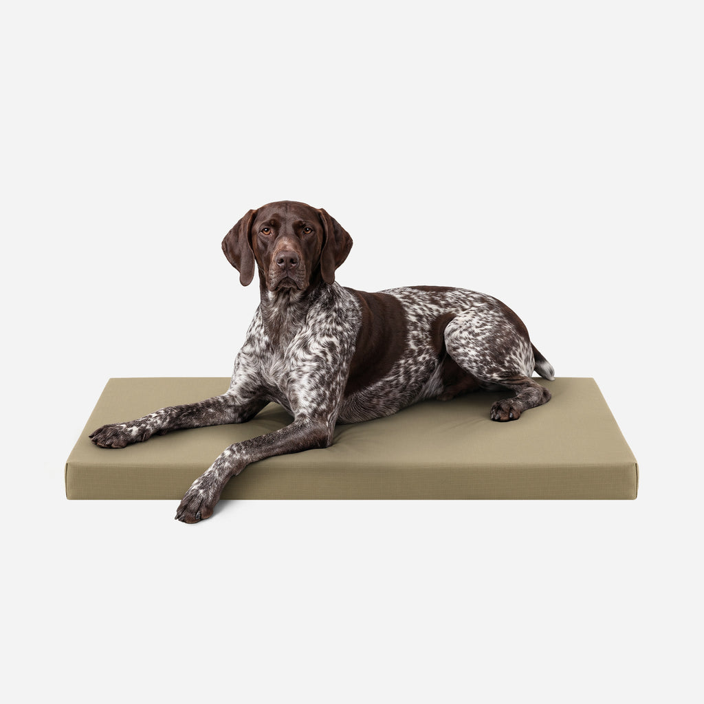 Dog Bed | Orthopedic Foam, Durable Ripstop Cover 29
