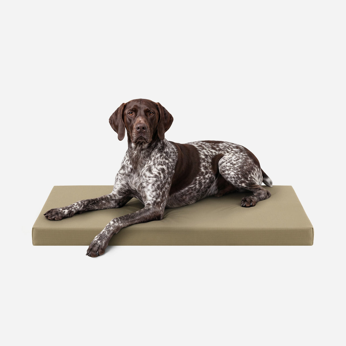 Dog Bed | Orthopedic Foam, Durable Ripstop Cover 29