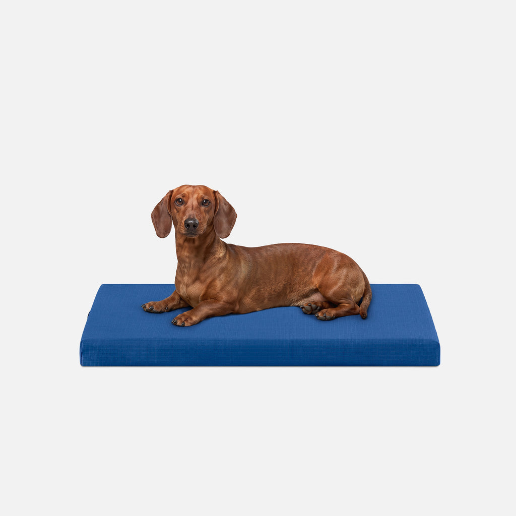 Dog Bed | Orthopedic Foam, Durable Ripstop Cover 3