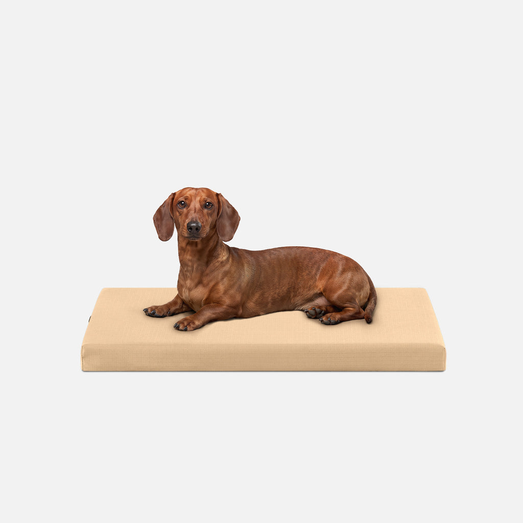 Dog Bed | Orthopedic Foam, Durable Ripstop Cover 4