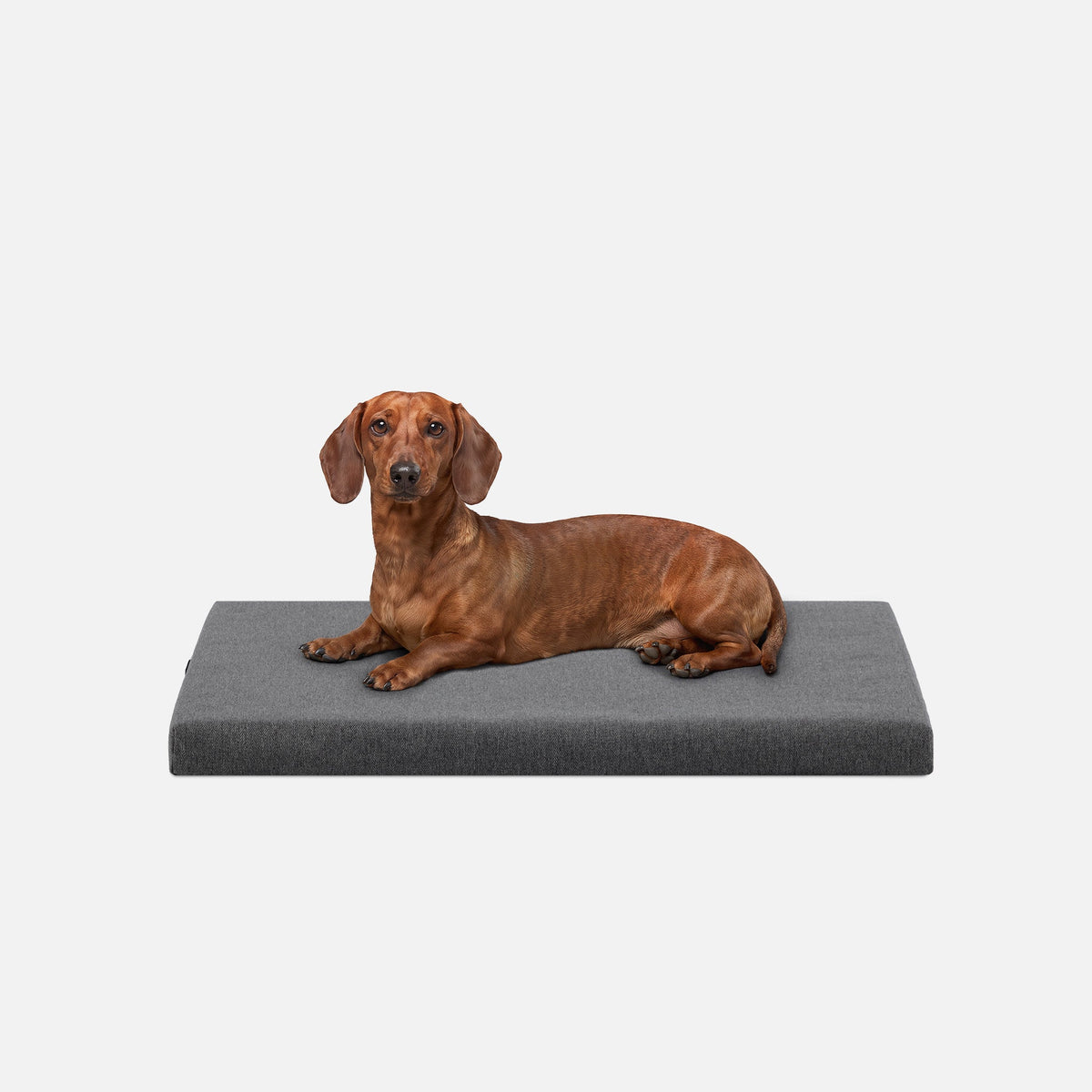Dog Bed | Orthopedic Foam, Durable Ripstop Cover 5