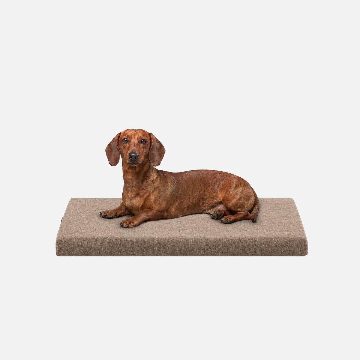Dog Bed | Orthopedic Foam, Durable Ripstop Cover 6