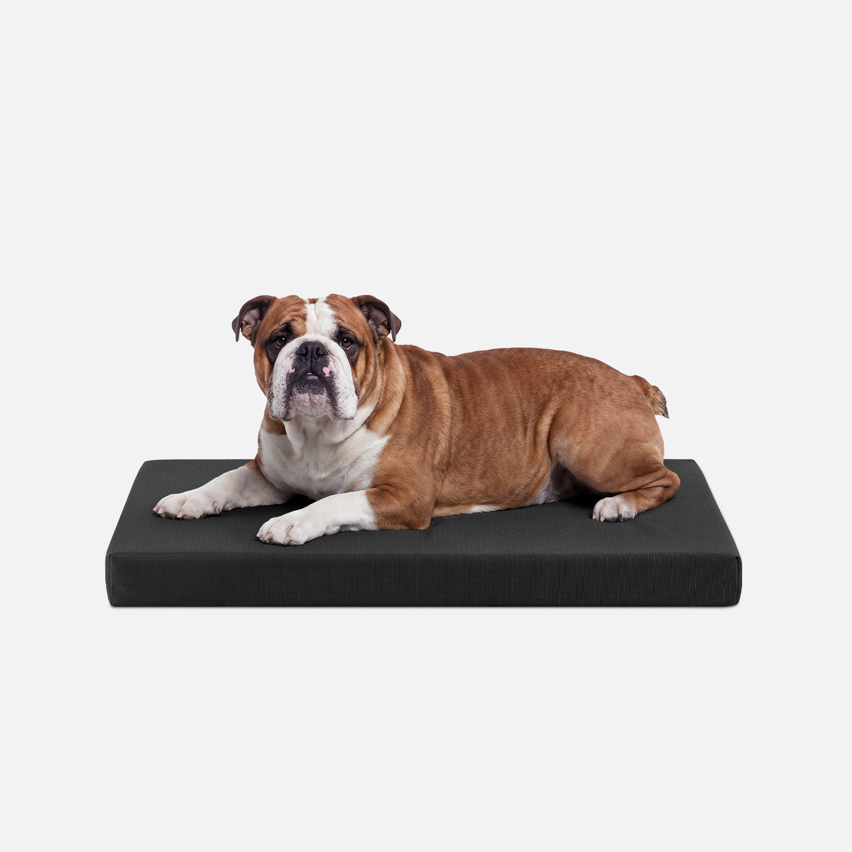 Dog Bed | Orthopedic Foam, Durable Ripstop Cover 7
