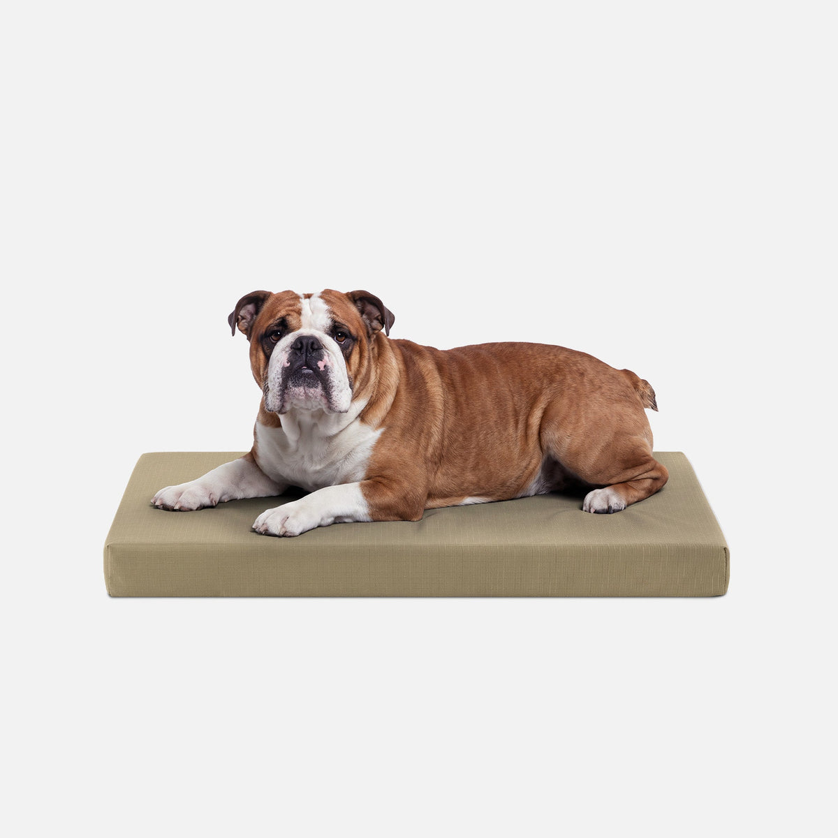 Dog Bed | Orthopedic Foam, Durable Ripstop Cover 8
