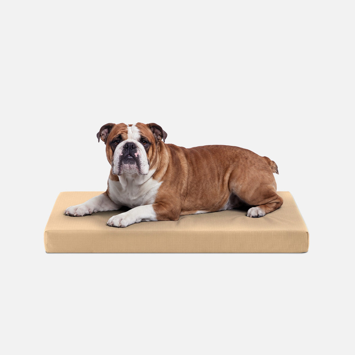 Dog Bed | Orthopedic Foam, Durable Ripstop Cover 9