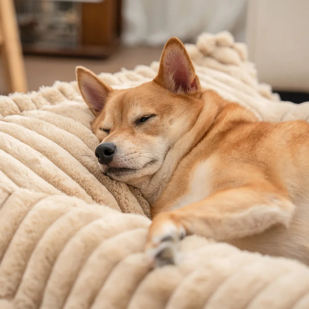 Dog Bed | Orthopedic Foam, Ribbed Plush Bolsters 3