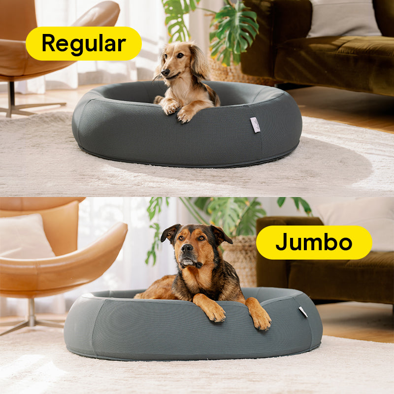 Dog Bed | Orthopaedic Memory Foam, Cooling Gel Technology