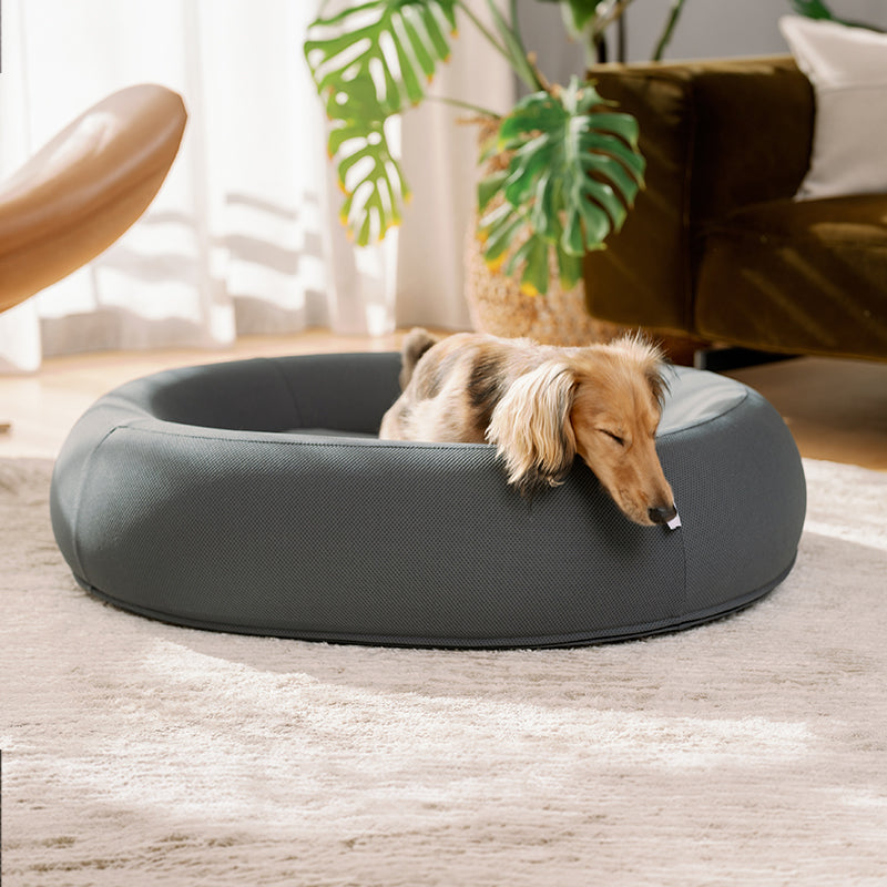 Dog Bed | Orthopedic Memory Foam, Cooling Gel Technology 5