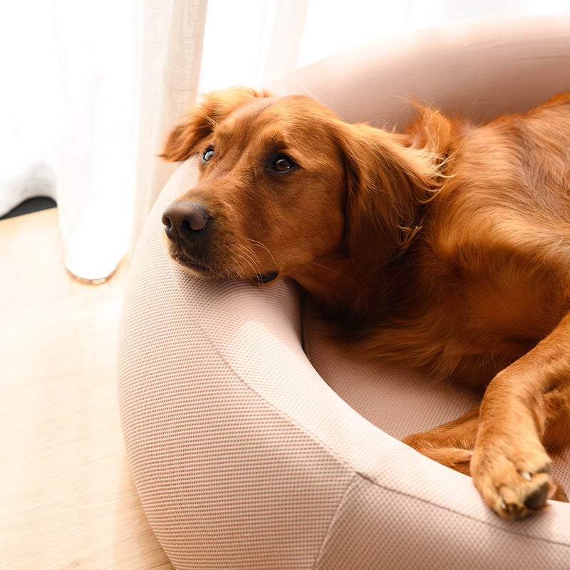 Dog Bed | Orthopedic Memory Foam, Cooling Gel Technology 9