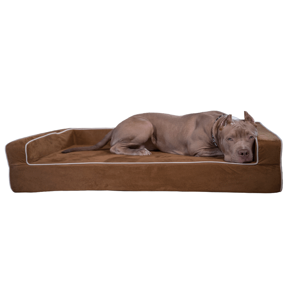 Dog Bed | Orthopedic Memory Foam, Three-Sided Bolsters 0