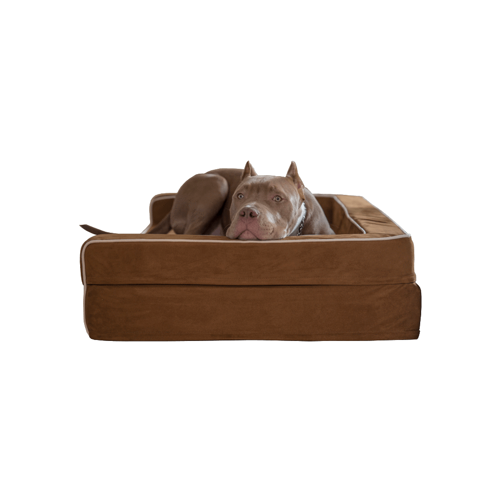 Dog Bed | Orthopedic Memory Foam, Three-Sided Bolsters 1