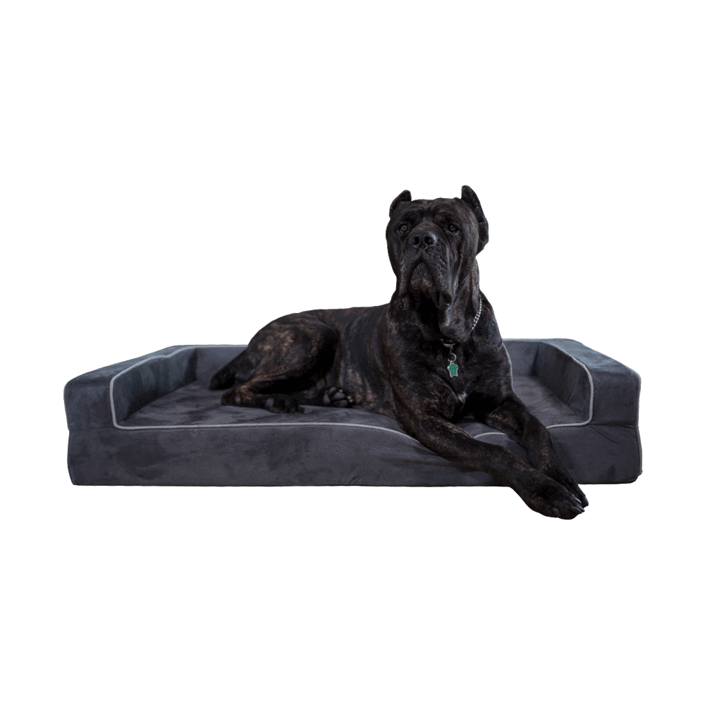 Dog Bed | Orthopedic Memory Foam, Three-Sided Bolsters 4