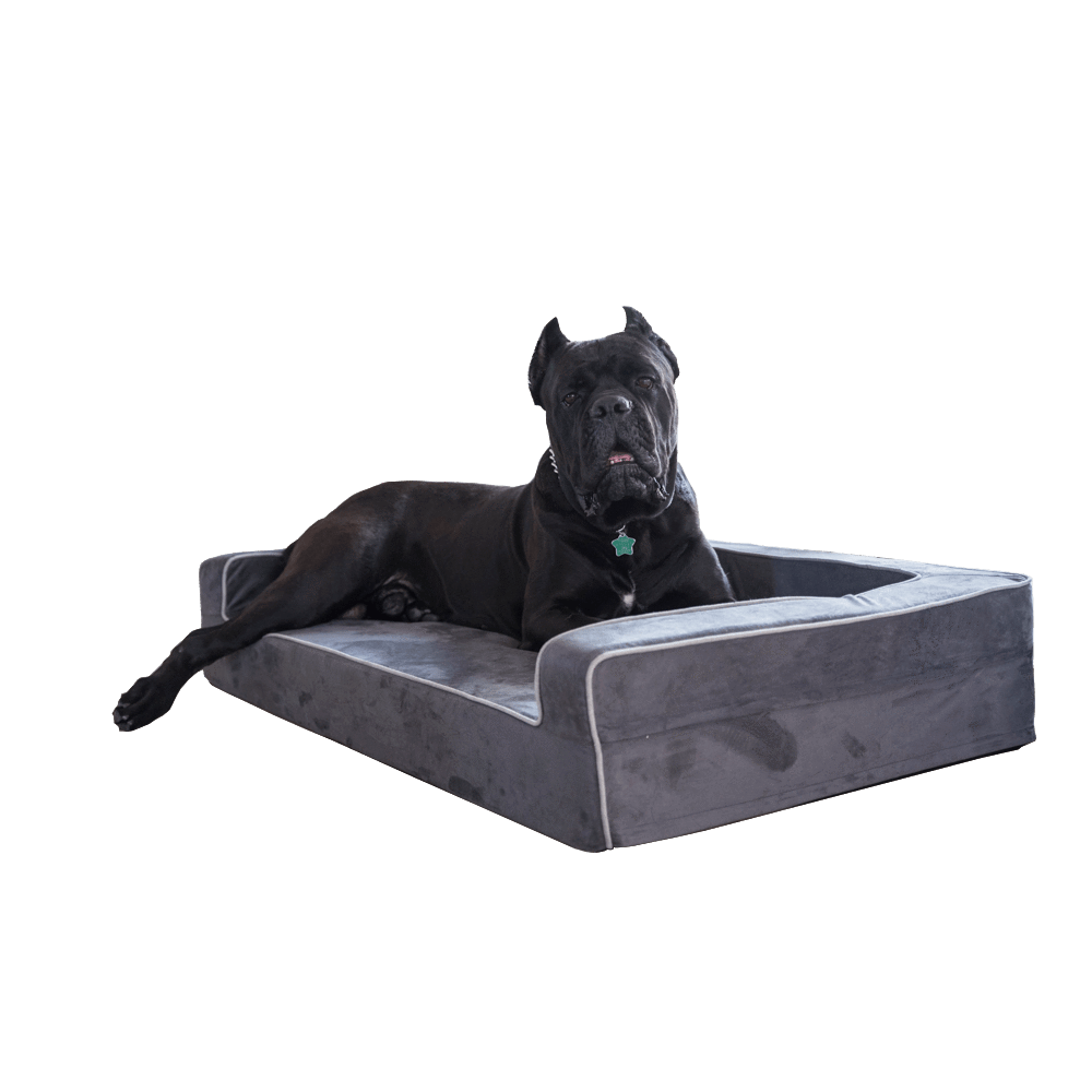 Dog Bed | Orthopedic Memory Foam, Three-Sided Bolsters 5