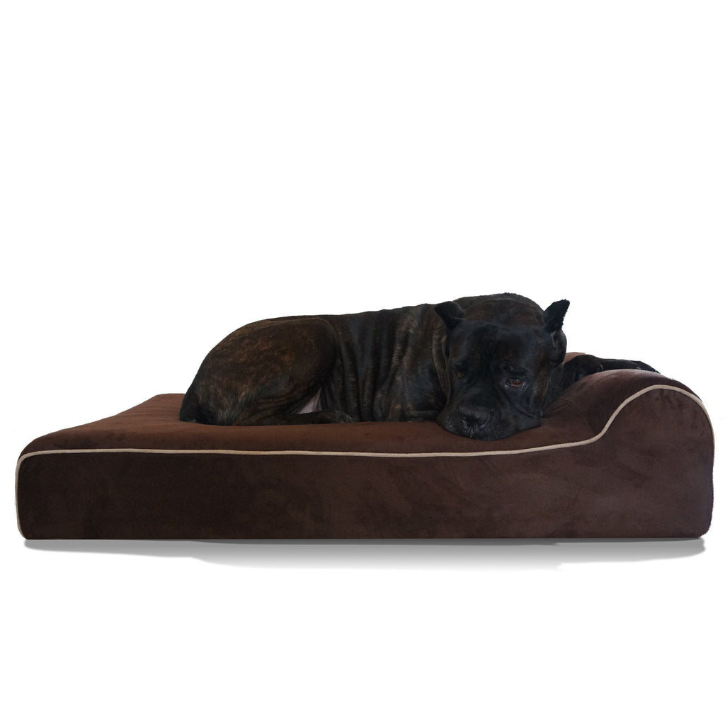Dog Bed | Orthopedic Memory Foam, Waterproof Cover 1