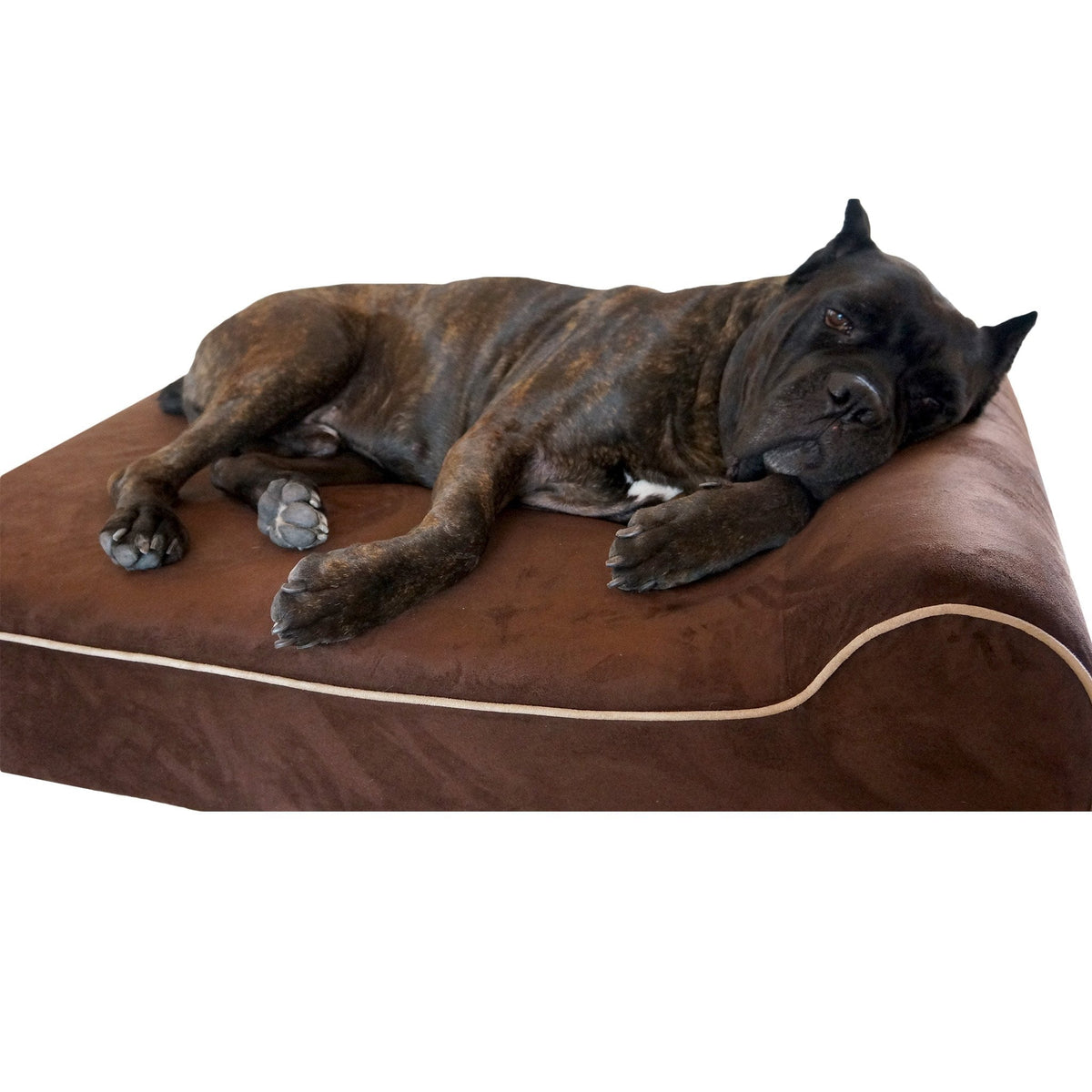 Dog Bed | Orthopedic Memory Foam, Waterproof Cover 3
