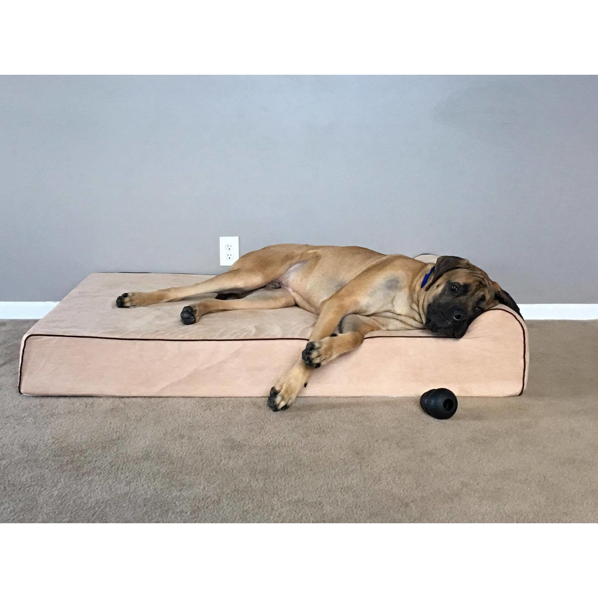 Dog Bed | Orthopedic Memory Foam, Waterproof Cover 7