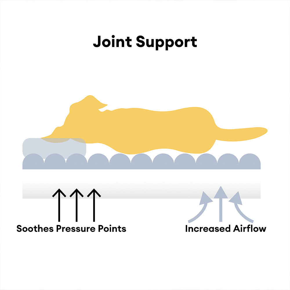 Dog Bed | Orthopedic Support, Fluffy Plush Design 4