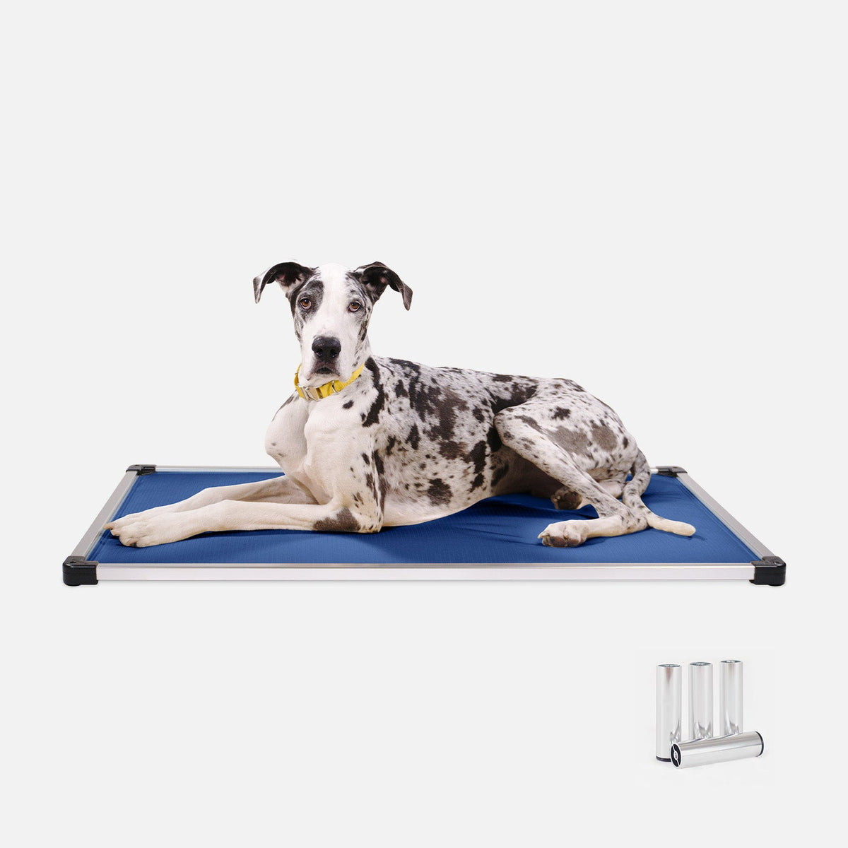 Dog Bed | Padded Sling, Aluminum Frame Construction 12