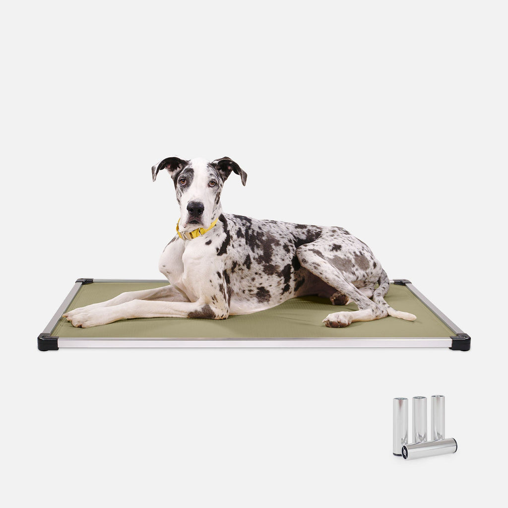Dog Bed | Padded Sling, Aluminum Frame Construction 16