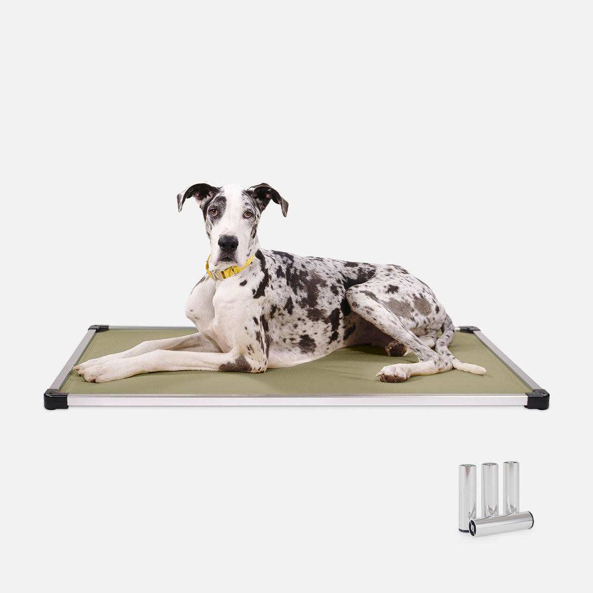 Dog Bed | Padded Sling, Aluminum Frame Construction 16