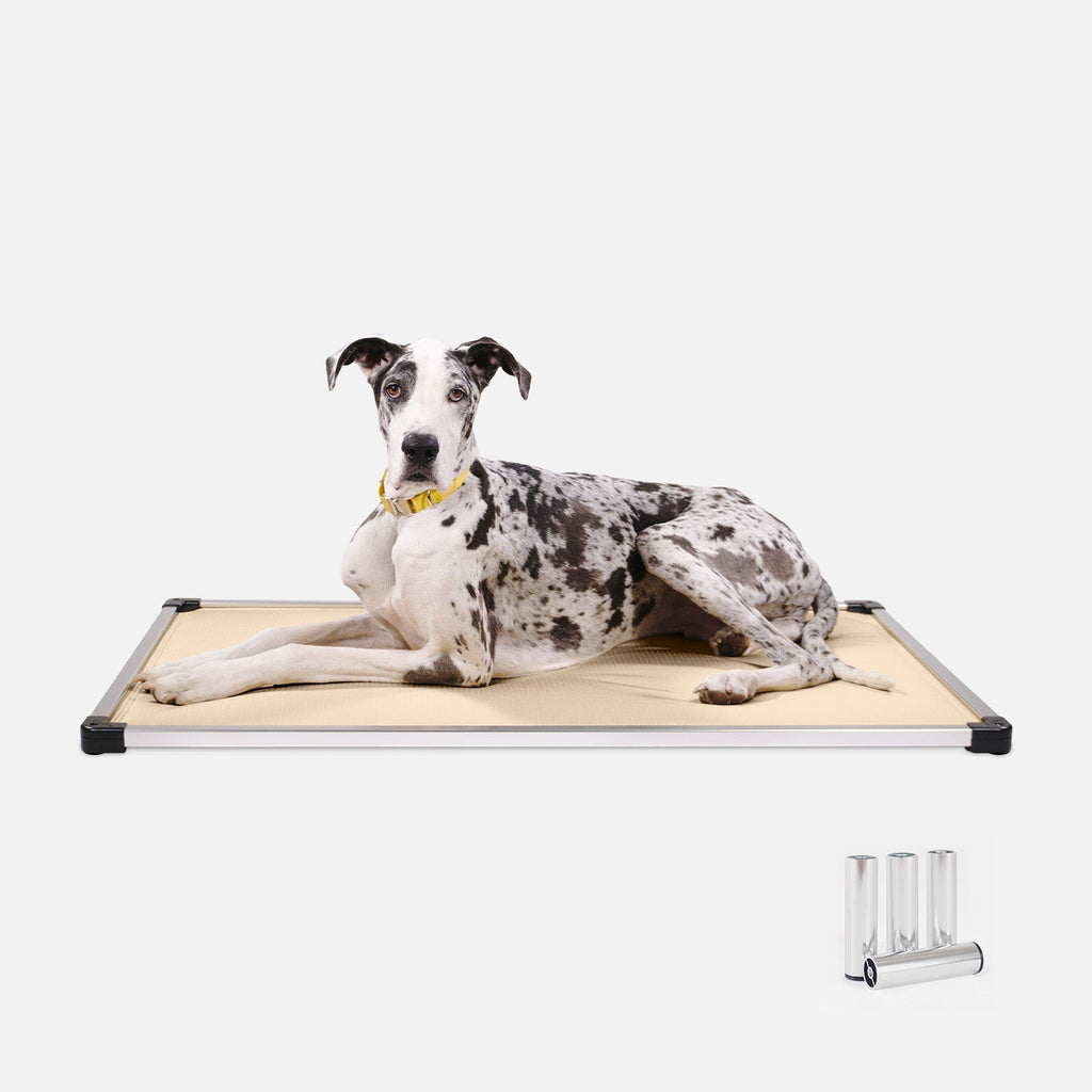 Dog Bed | Padded Sling, Aluminum Frame Construction 18