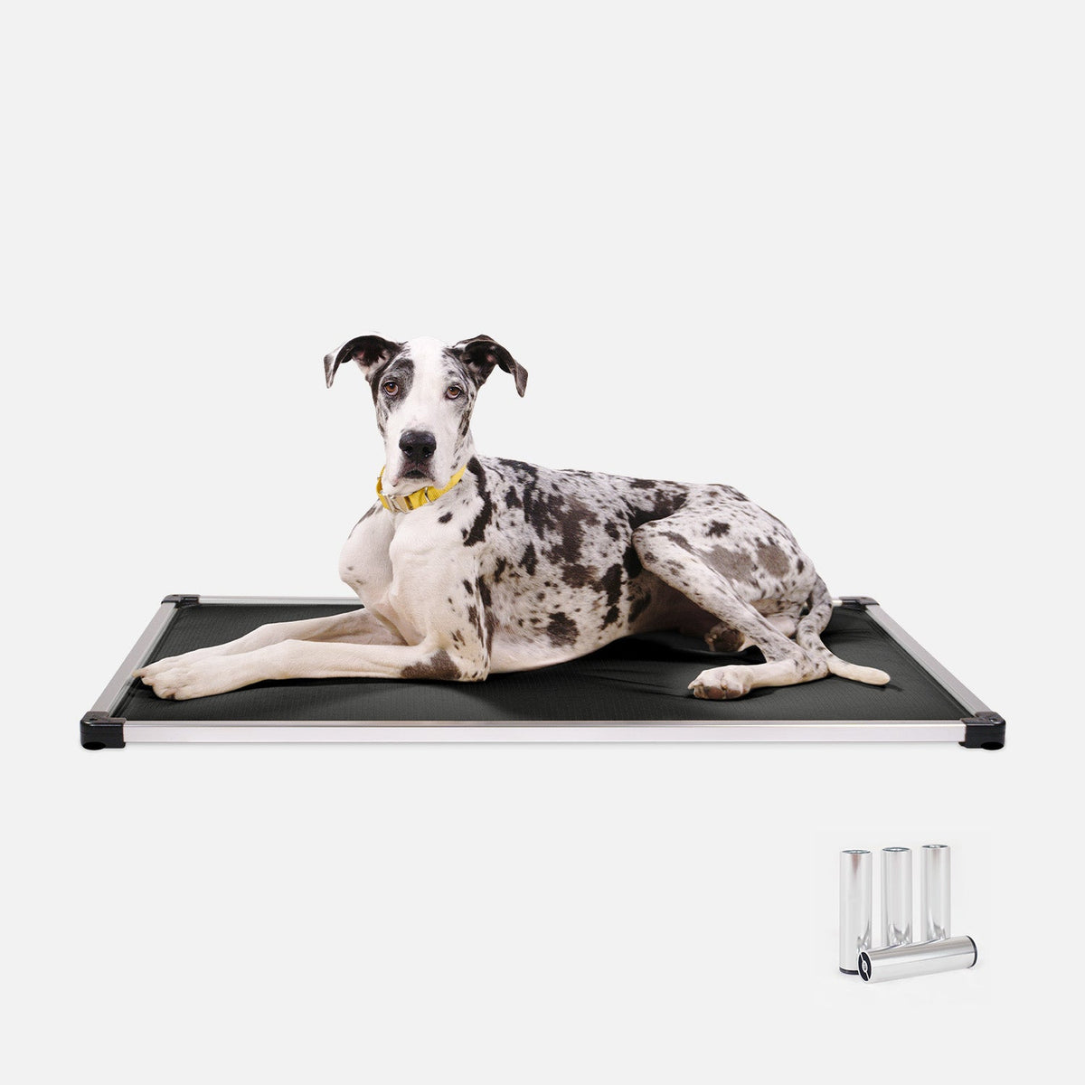 Dog Bed | Padded Sling, Aluminum Frame Construction 5