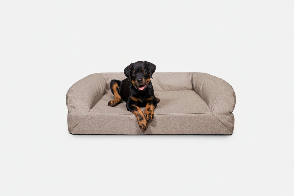 Dog Bed | Rectangle Shape, Bolster Design, Orthopedic Support 1