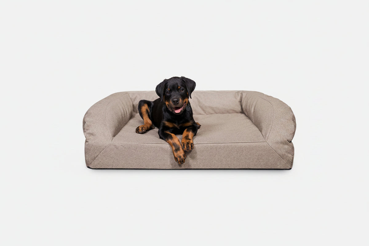 Dog Bed | Rectangle Shape, Bolster Design, Orthopedic Support 1