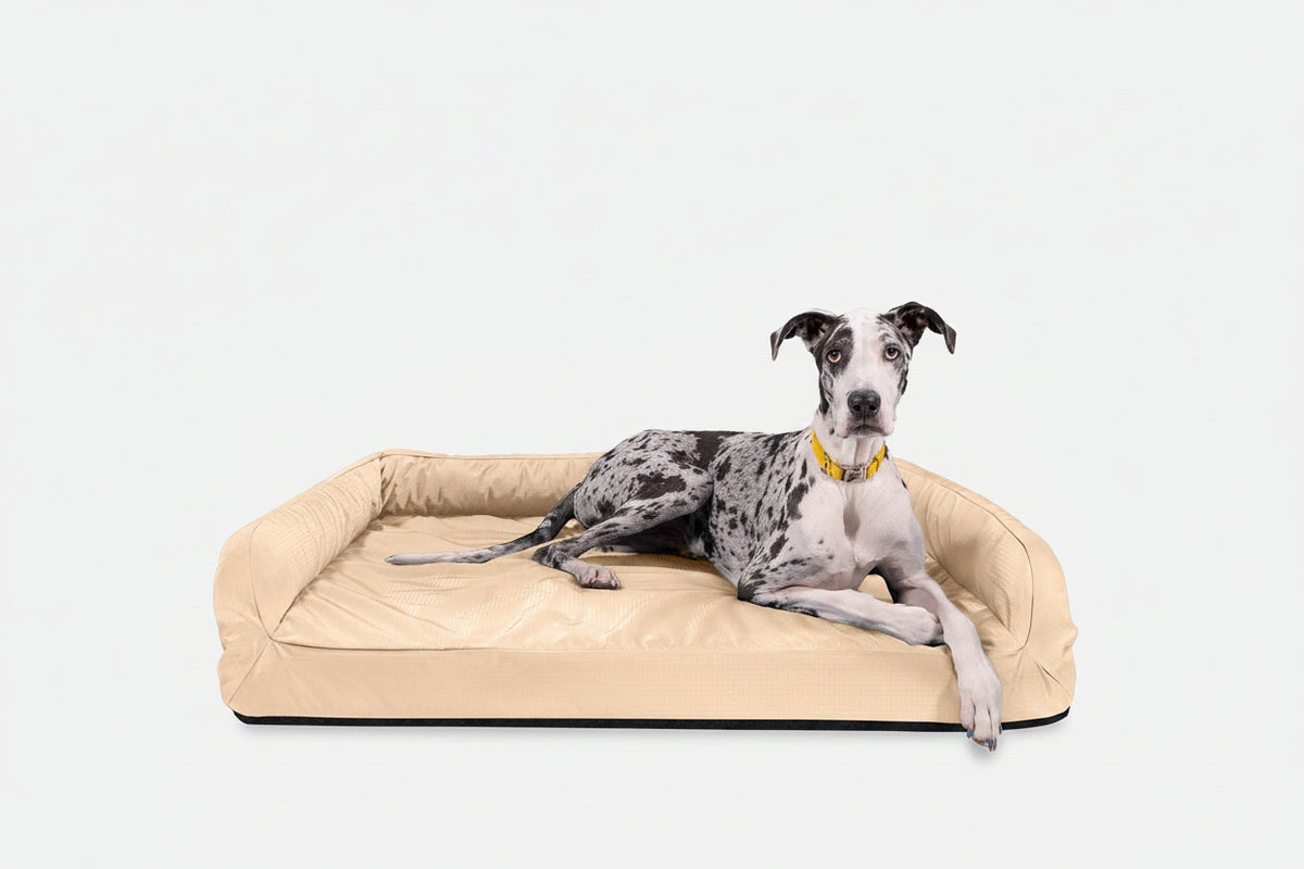 Dog Bed | Rectangle Shape, Bolster Design, Orthopedic Support 10