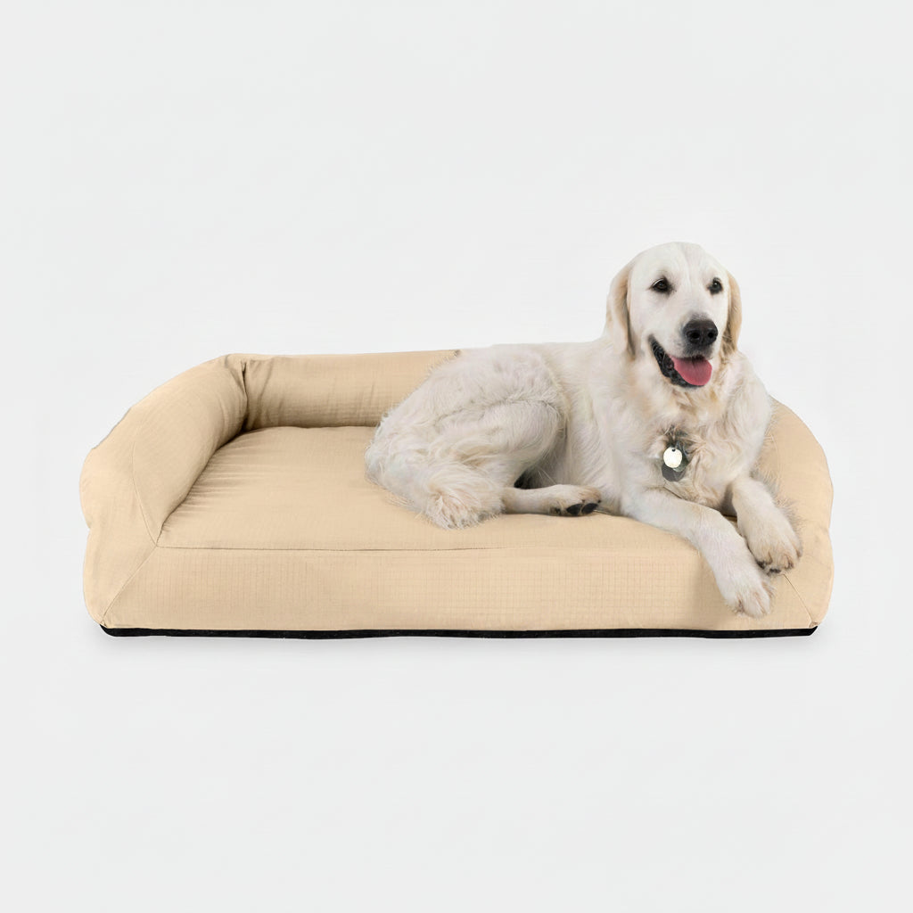 Dog Bed | Rectangle Shape, Bolster Design, Orthopedic Support 12