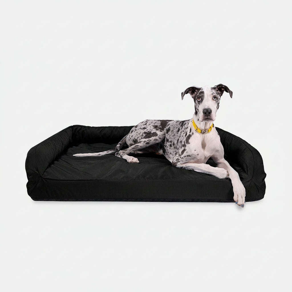 Dog Bed | Rectangle Shape, Bolster Design, Orthopedic Support 14