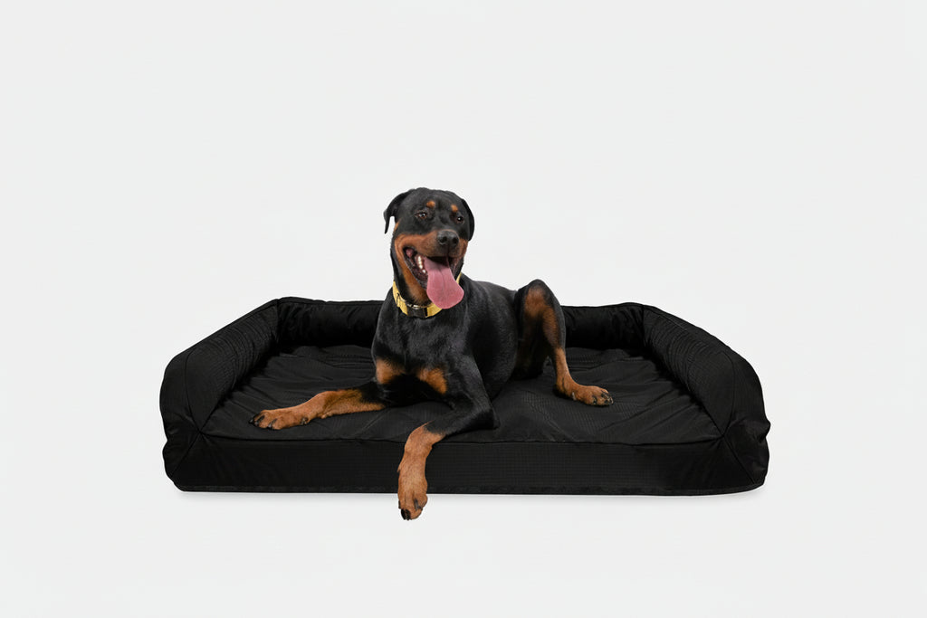 Dog Bed | Rectangle Shape, Bolster Design, Orthopedic Support 15