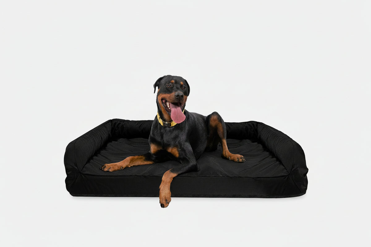 Dog Bed | Rectangle Shape, Bolster Design, Orthopedic Support 15