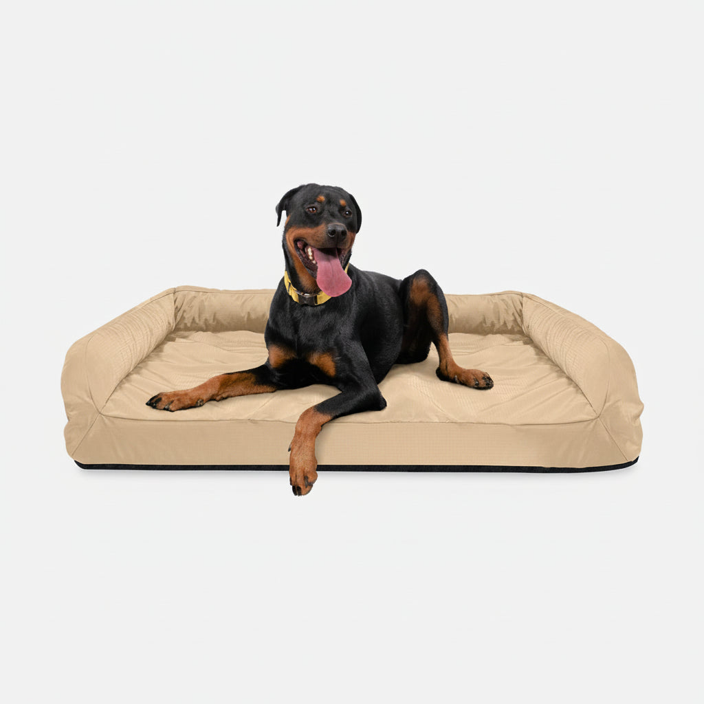 Dog Bed | Rectangle Shape, Bolster Design, Orthopedic Support 16