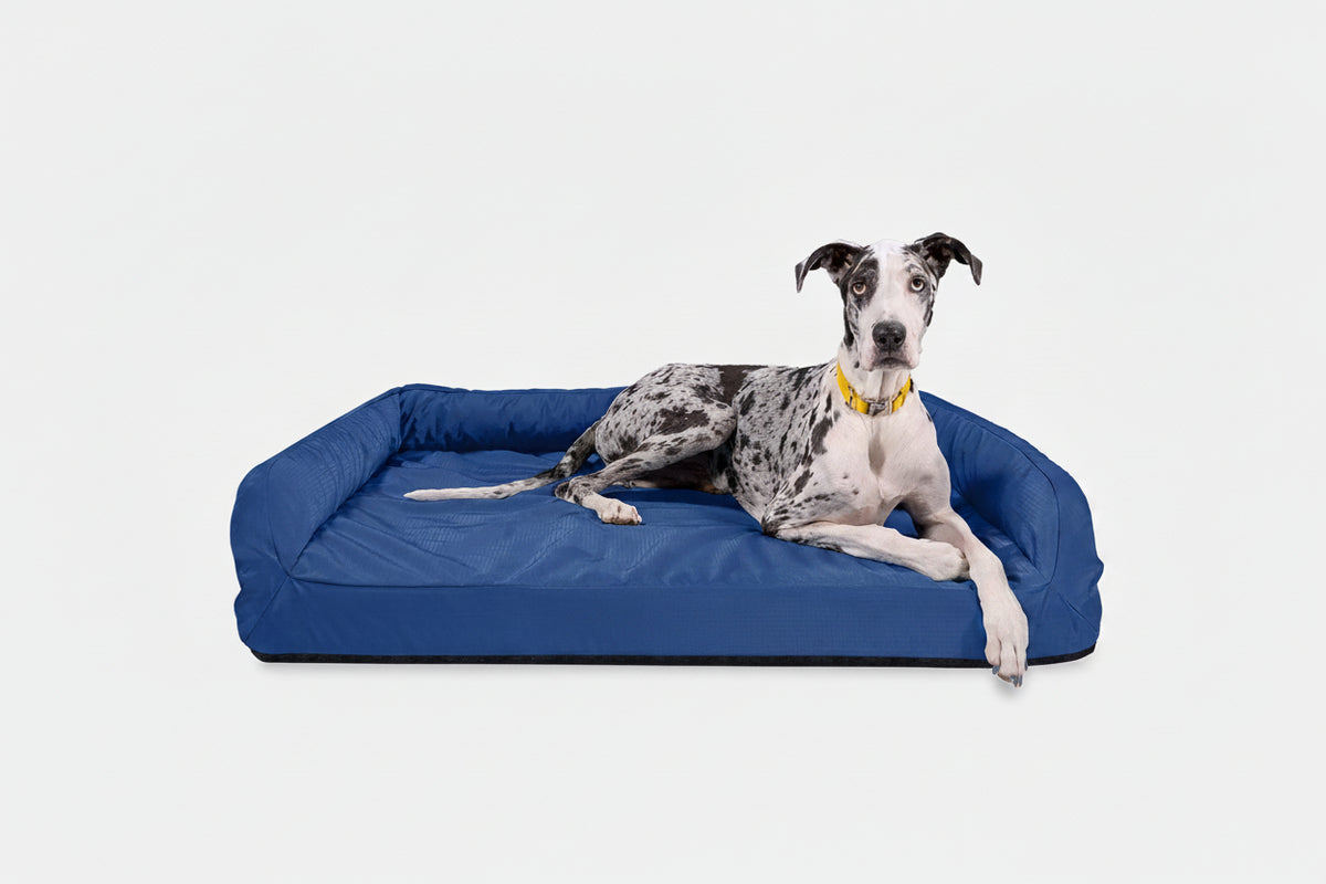 Dog Bed | Rectangle Shape, Bolster Design, Orthopedic Support 17