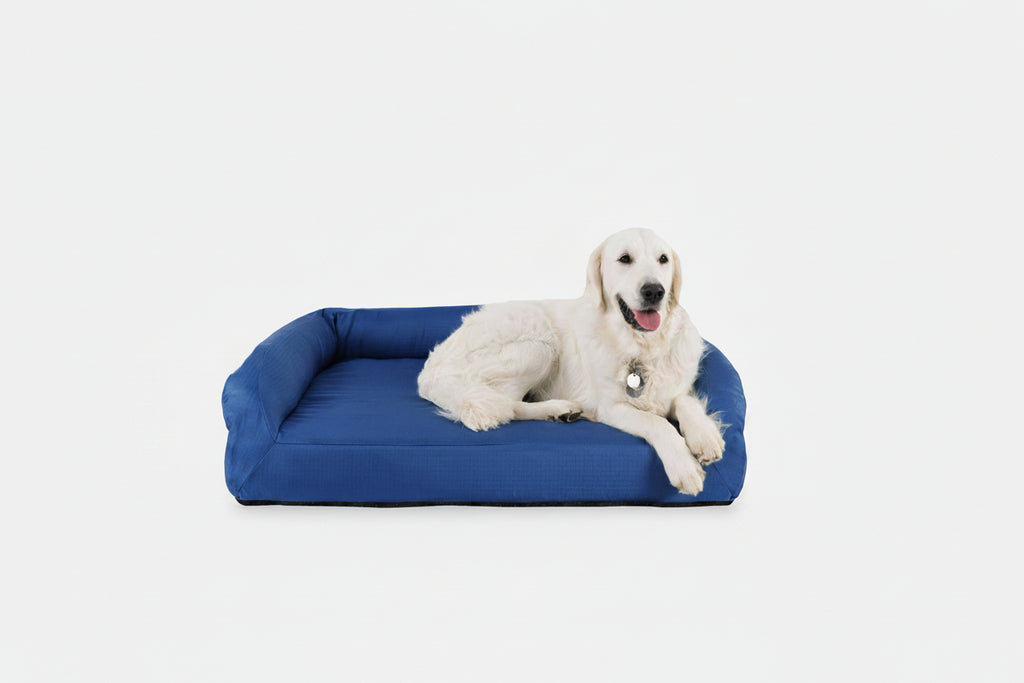 Dog Bed | Rectangle Shape, Bolster Design, Orthopedic Support 18