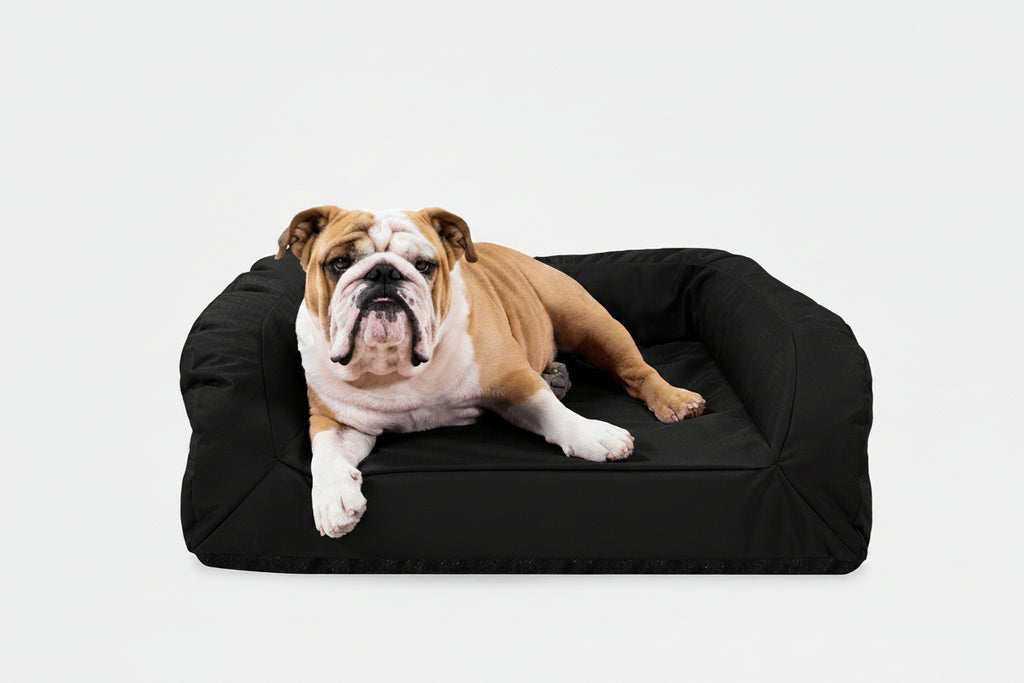 Dog Bed | Rectangle Shape, Bolster Design, Orthopedic Support 4