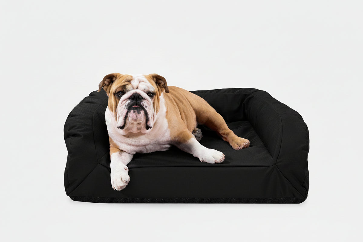 Dog Bed | Rectangle Shape, Bolster Design, Orthopedic Support 4