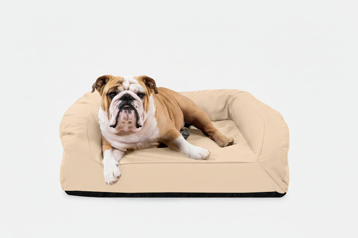 Dog Bed | Rectangle Shape, Bolster Design, Orthopedic Support 5