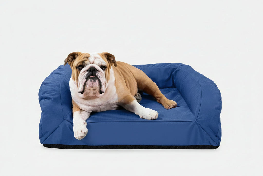 Dog Bed | Rectangle Shape, Bolster Design, Orthopedic Support 6