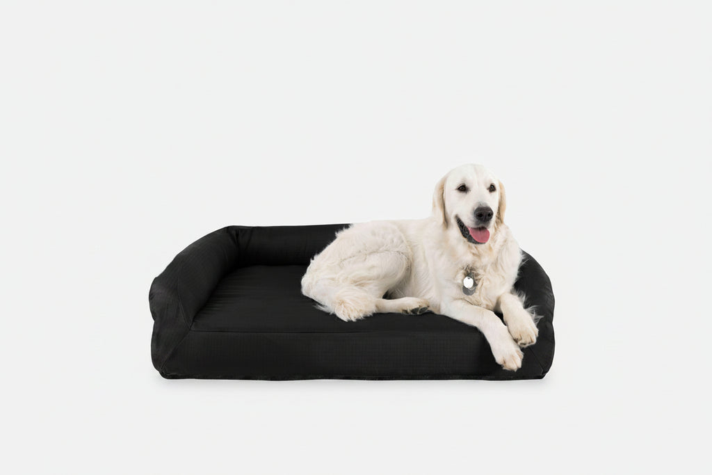 Dog Bed | Rectangle Shape, Bolster Design, Orthopedic Support 8