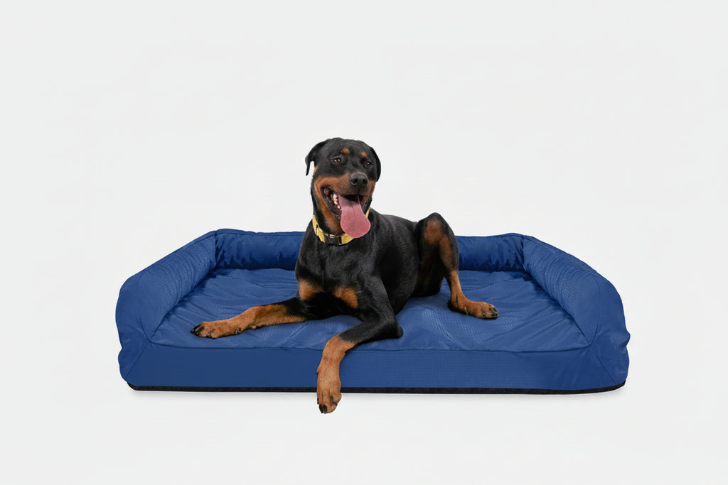 Dog Bed | Rectangle Shape, Bolster Design, Orthopedic Support 9