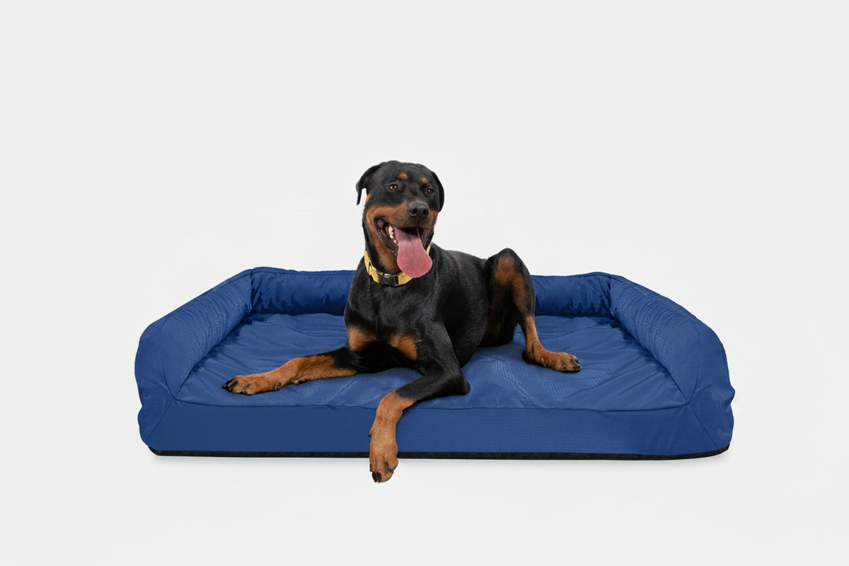 Dog Bed | Rectangle Shape, Bolster Design, Orthopedic Support 9