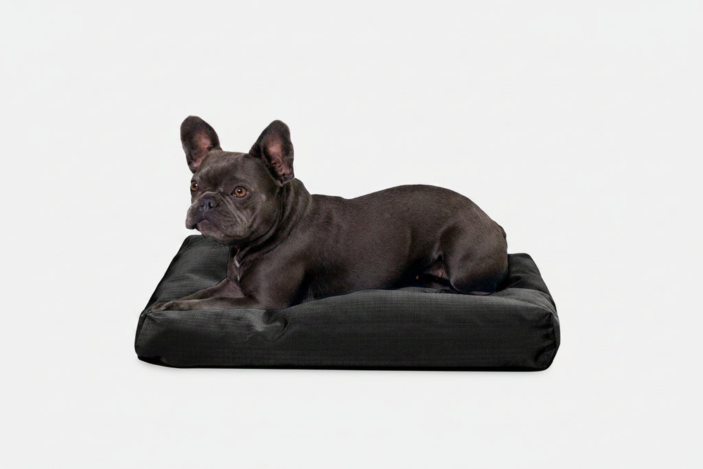 Dog Bed | Rectangle Shape, Durable Ripstop Fabric 0