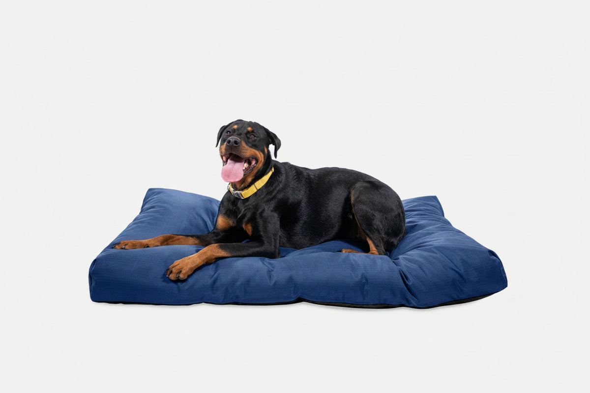Dog Bed | Rectangle Shape, Durable Ripstop Fabric 1